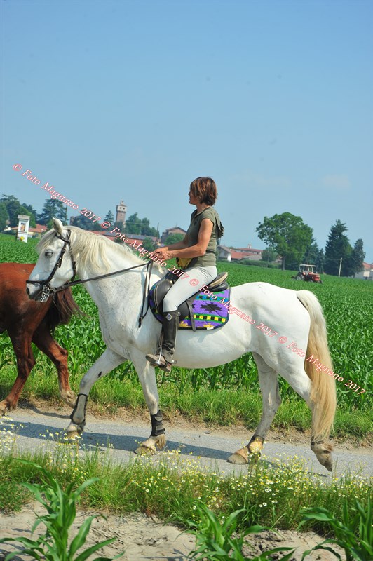 DSC_0864.JPG
